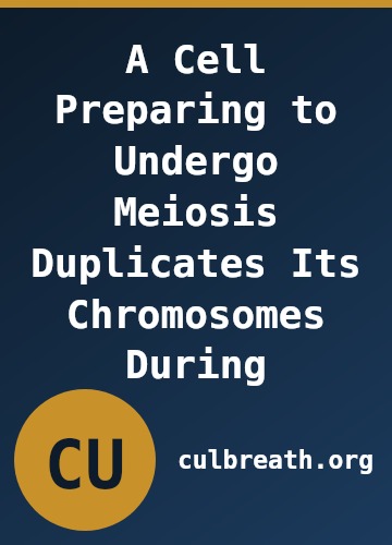 A Cell Preparing to Undergo Meiosis Duplicates Its Chromosomes During
