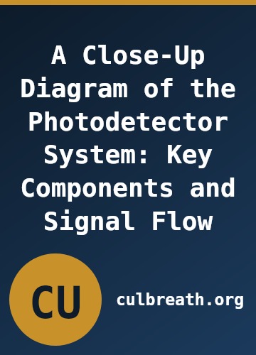 A Close-Up Diagram of the Photodetector System: Key Components and Signal Flow