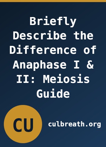 Briefly Describe the Difference of Anaphase I & II: Meiosis Guide