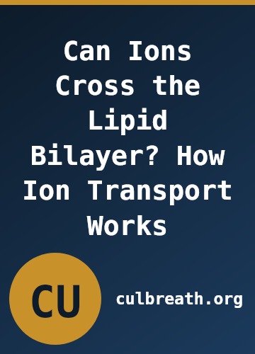 Can Ions Cross the Lipid Bilayer? How Ion Transport Works