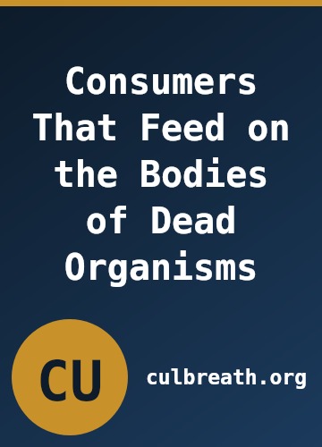 Consumers That Feed on the Bodies of Dead Organisms