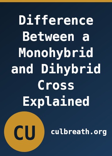 Difference Between a Monohybrid and Dihybrid Cross Explained