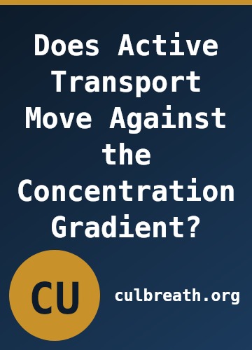 Does Active Transport Move Against the Concentration Gradient?