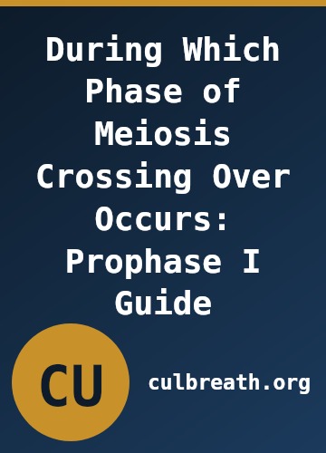 During Which Phase of Meiosis Crossing Over Occurs: Prophase I Guide