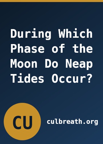 During Which Phase of the Moon Do Neap Tides Occur?