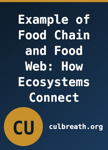 Example of Food Chain and Food Web: How Ecosystems Connect