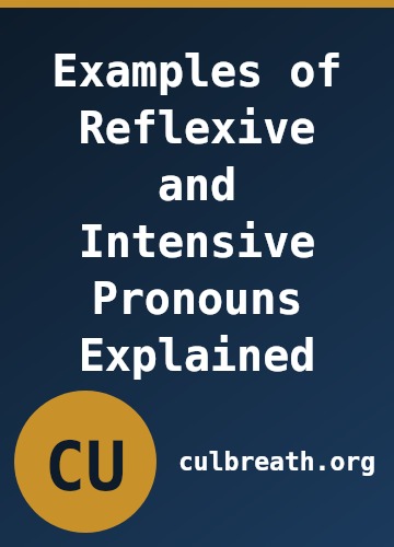 Examples of Reflexive and Intensive Pronouns Explained