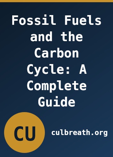 Fossil Fuels and the Carbon Cycle: A Complete Guide
