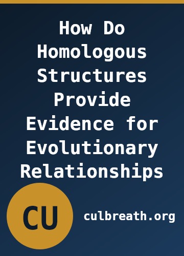 How Do Homologous Structures Provide Evidence for Evolutionary Relationships