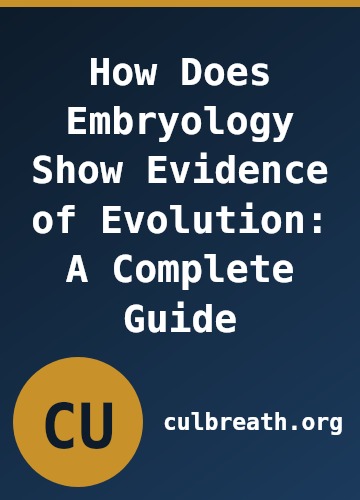 How Does Embryology Show Evidence of Evolution: A Complete Guide