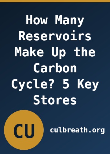 How Many Reservoirs Make Up the Carbon Cycle? 5 Key Stores