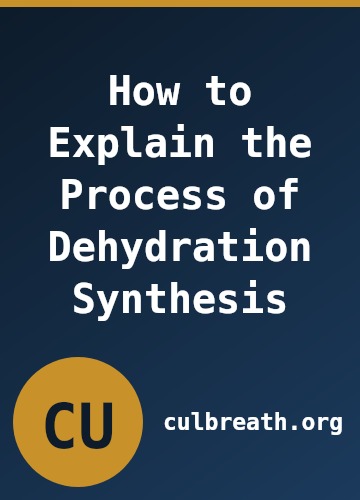 How to Explain the Process of Dehydration Synthesis