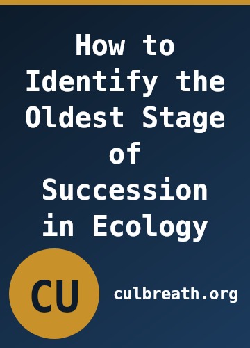 How to Identify the Oldest Stage of Succession in Ecology