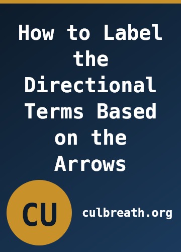 How to Label the Directional Terms Based on the Arrows