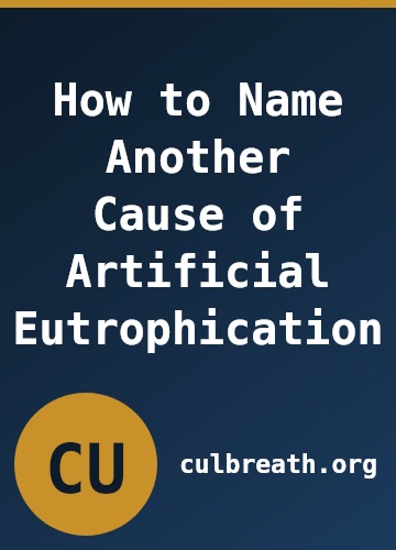How to Name Another Cause of Artificial Eutrophication