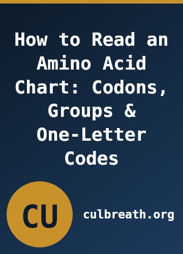 How to Read an Amino Acid Chart: Codons, Groups & One-Letter Codes