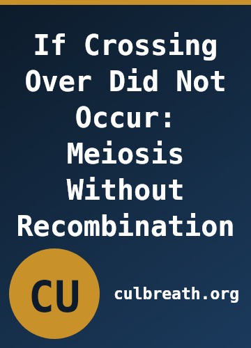 If Crossing Over Did Not Occur: Meiosis Without Recombination