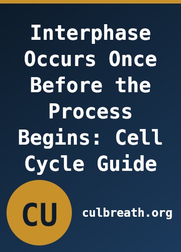 Interphase Occurs Once Before the Process Begins: Cell Cycle Guide