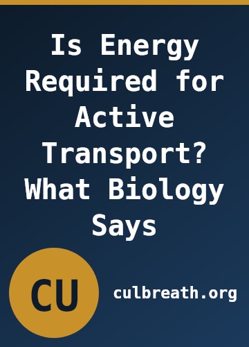 Is Energy Required for Active Transport? What Biology Says