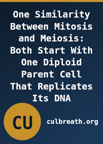 One Similarity Between Mitosis and Meiosis: Both Start With One Diploid Parent Cell That Replicates Its DNA