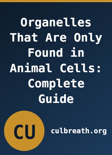 Organelles That Are Only Found in Animal Cells: Complete Guide