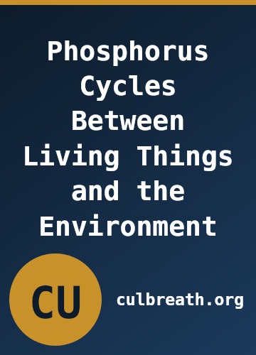 Phosphorus Cycles Between Living Things and the Environment