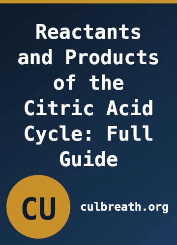 Reactants and Products of the Citric Acid Cycle: Full Guide
