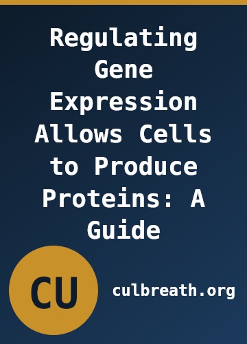 Regulating Gene Expression Allows Cells to Produce Proteins: A Guide