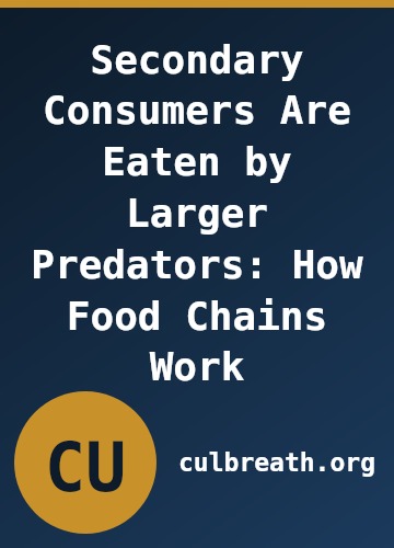 Secondary Consumers Are Eaten by Larger Predators: How Food Chains Work
