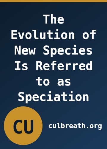 The Evolution of New Species Is Referred to as Speciation