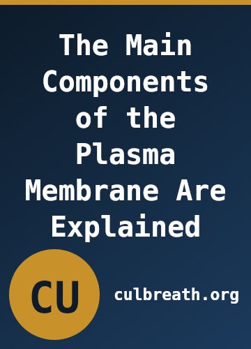 The Main Components of the Plasma Membrane Are Explained