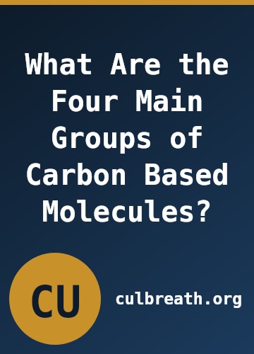 What Are the Four Main Groups of Carbon Based Molecules?