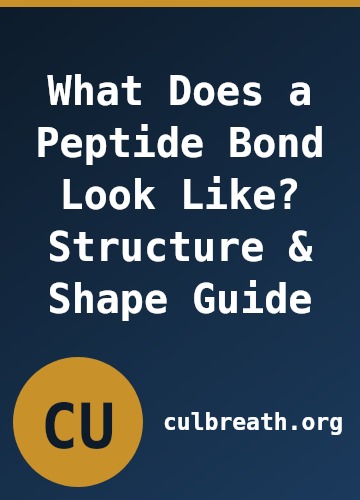 What Does a Peptide Bond Look Like? Structure & Shape Guide