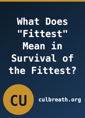 What Does "Fittest" Mean in Survival of the Fittest?