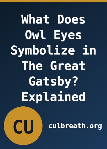 What Does Owl Eyes Symbolize in The Great Gatsby? Explained