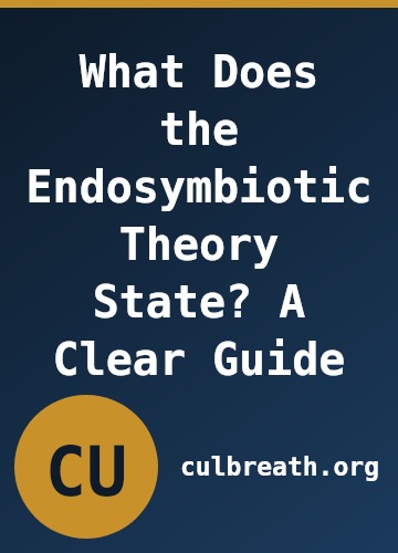 What Does the Endosymbiotic Theory State? A Clear Guide