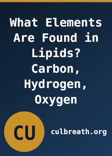 What Elements Are Found in Lipids? Carbon, Hydrogen, Oxygen