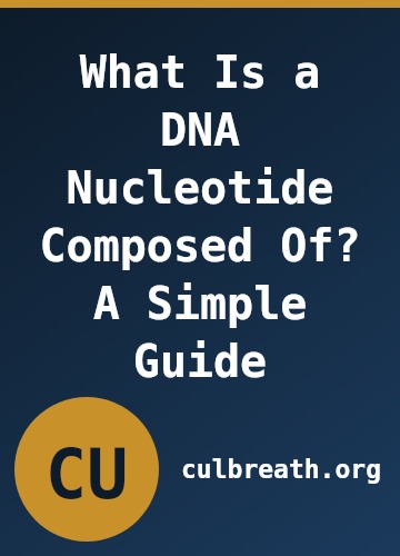 What Is a DNA Nucleotide Composed Of? A Simple Guide