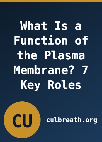 What Is a Function of the Plasma Membrane? 7 Key Roles