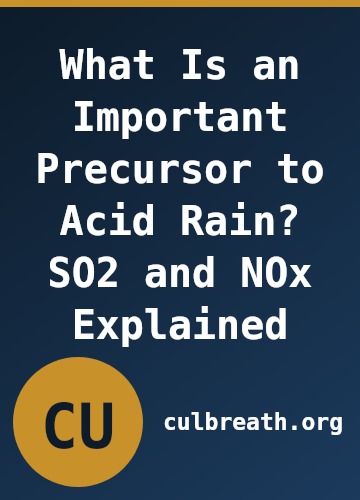 What Is an Important Precursor to Acid Rain? SO2 and NOx Explained