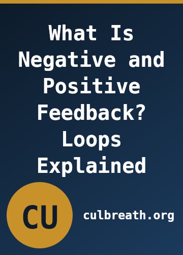 What Is Negative and Positive Feedback? Loops Explained