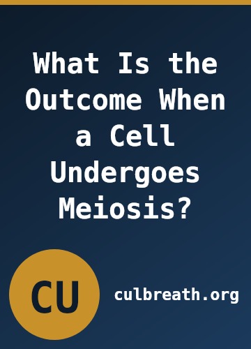 What Is the Outcome When a Cell Undergoes Meiosis?