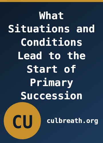 What Situations and Conditions Lead to the Start of Primary Succession