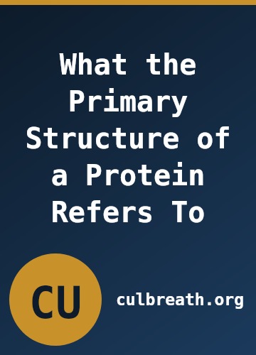 What the Primary Structure of a Protein Refers To