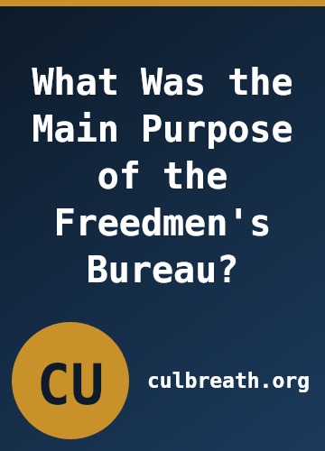 What Was the Main Purpose of the Freedmen's Bureau?
