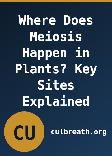 Where Does Meiosis Happen in Plants? Key Sites Explained