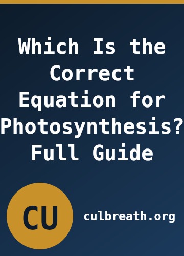 Which Is the Correct Equation for Photosynthesis? Full Guide