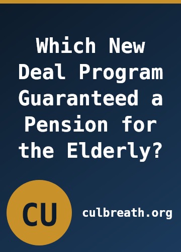Which New Deal Program Guaranteed a Pension for the Elderly?