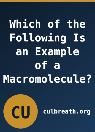 Which of the Following Is an Example of a Macromolecule?
