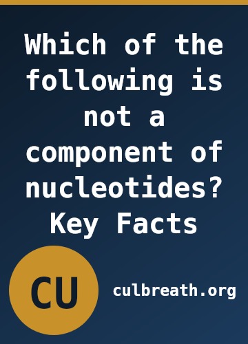 Which of the following is not a component of nucleotides? Key Facts